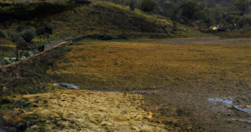 Květákové laskonky se sýrovou omáčkou