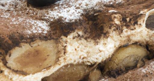 Řezy s tiramisu a ovocem